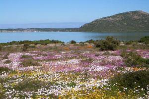 At The Rocks Guesthouse Langebaan Εξωτερικό φωτογραφία